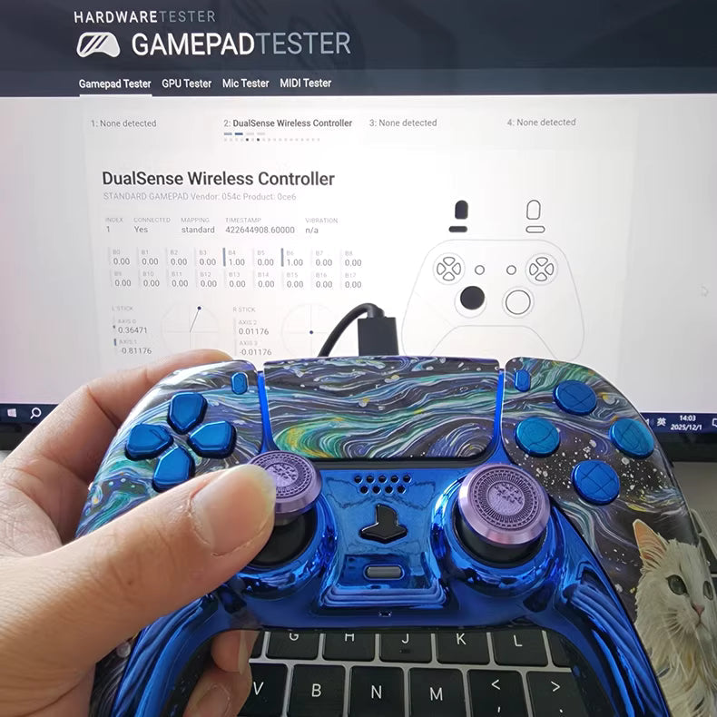 Sony PS5 Controller with Hall TMR Joystick, Van Gogh's Cat